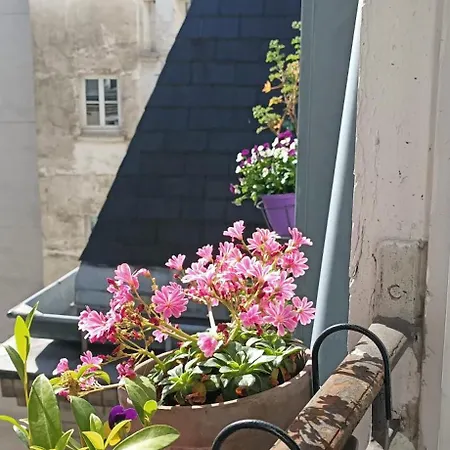 Homestay La Bleue Paris